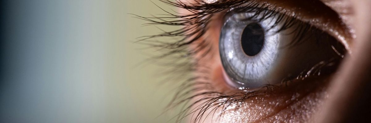 Vision Intérieure et Réussite Professionnelle